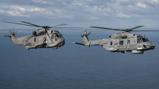 Sea King vs. NH90 Sea Lion